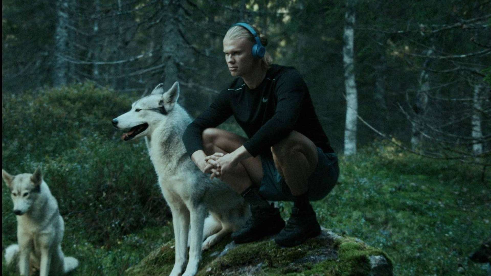 而另一场经 而另一场经