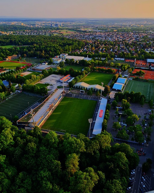 的化学反应 的化学反应