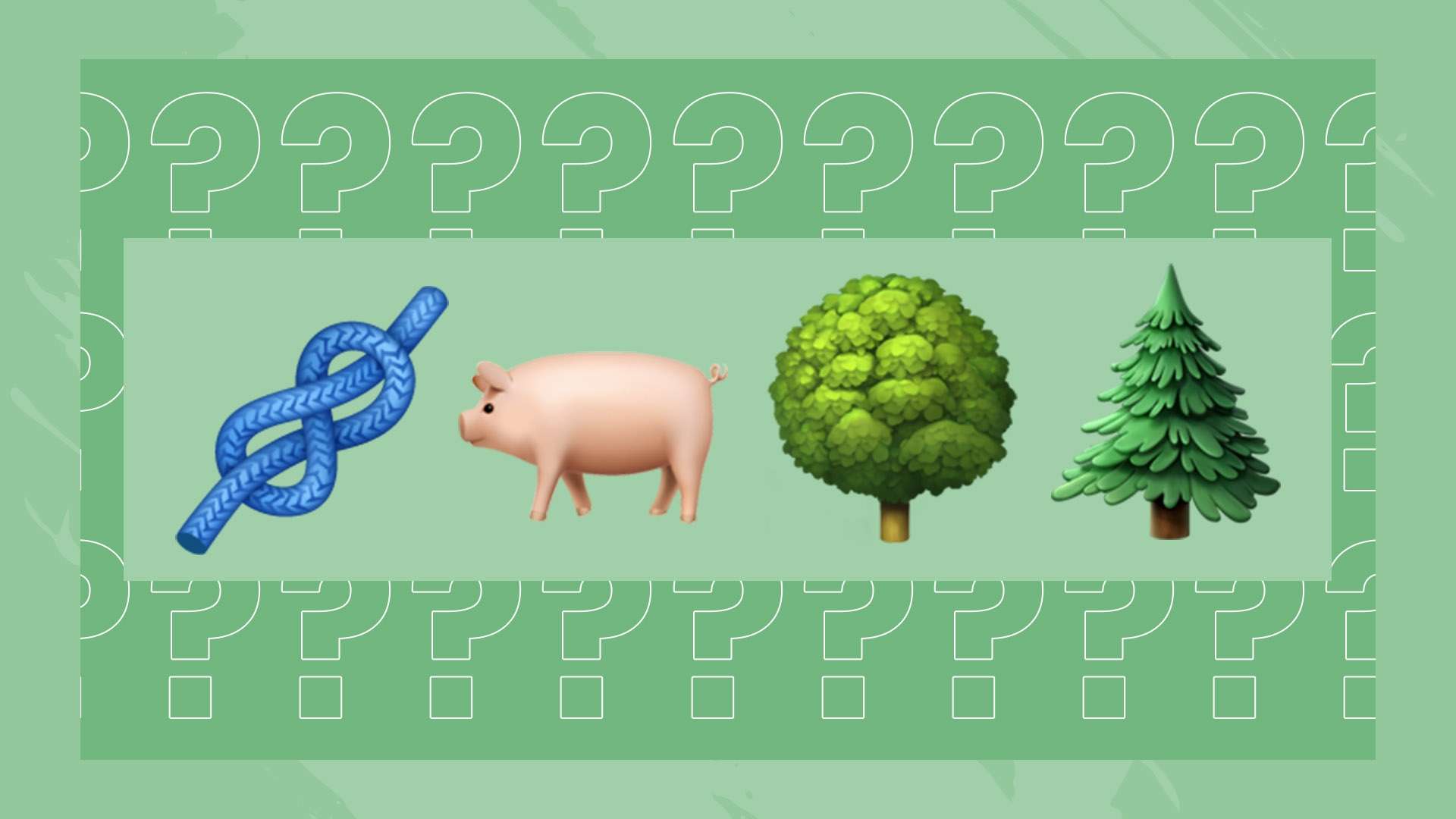 A级培训的 A级培训的